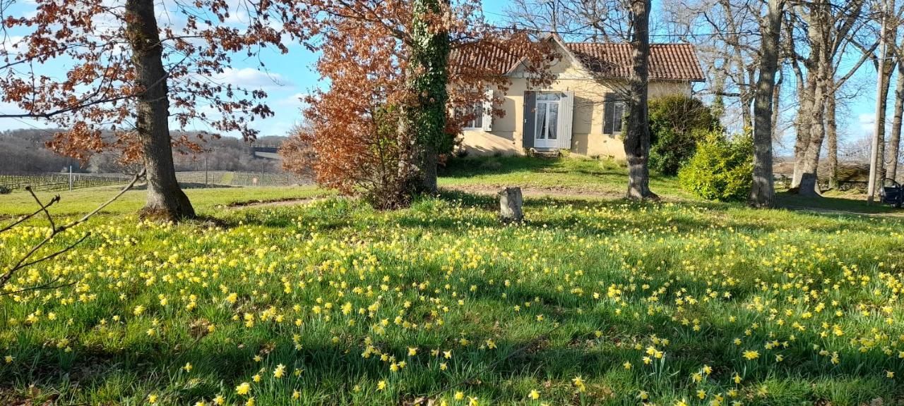 Saint-Genès-de-Castillon Moulin De Bigorreヴィラ エクステリア 写真