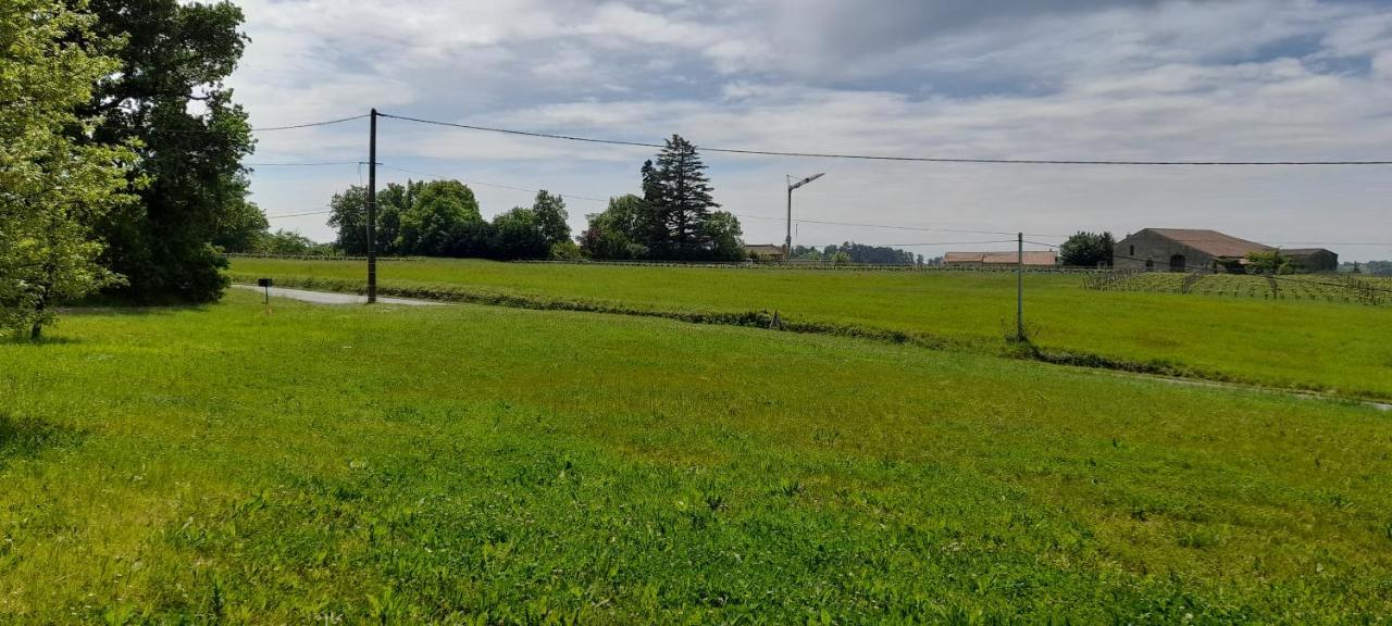 Saint-Genès-de-Castillon Moulin De Bigorreヴィラ エクステリア 写真
