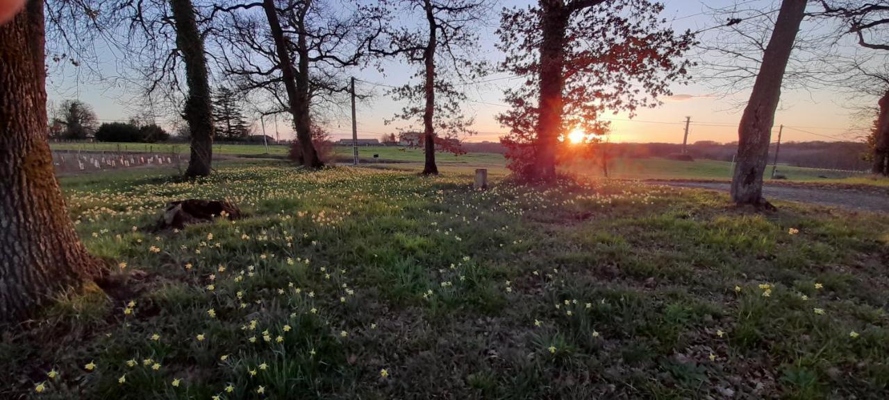 Saint-Genès-de-Castillon Moulin De Bigorreヴィラ エクステリア 写真